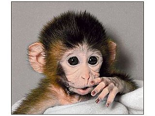 Спорт воздействует на мозг