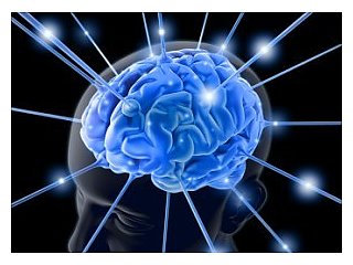 Как мозг помнит будущее