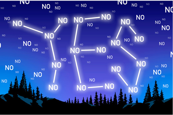 Красивая картинка