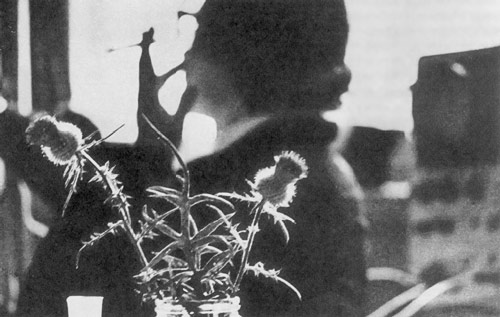 Биологи города Пущино. Тернии науки. Всеволод Тарасевич, журнал 'Советское Фото', 1977 г.